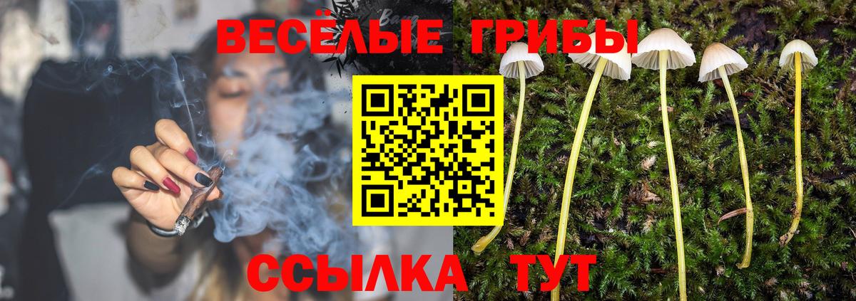 Галлюциногенные грибы мухоморы Фрязино