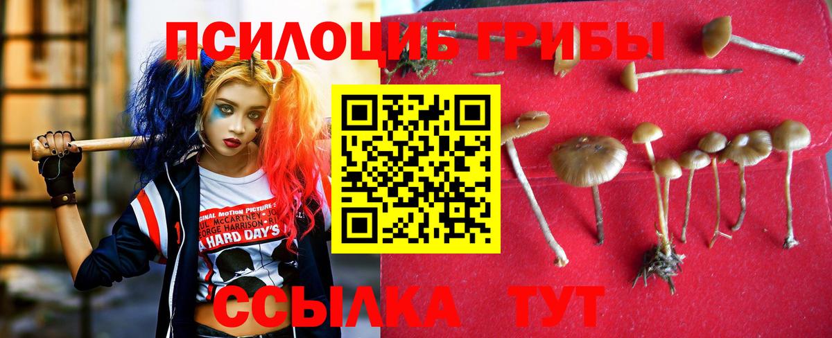 Галлюциногенные грибы GOLDEN TEACHER  Псилоцибиновые грибы мицелий  Фрязино  Вход с VPN 