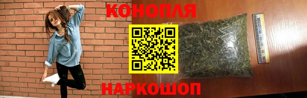 Марихуана сатива Фрязино